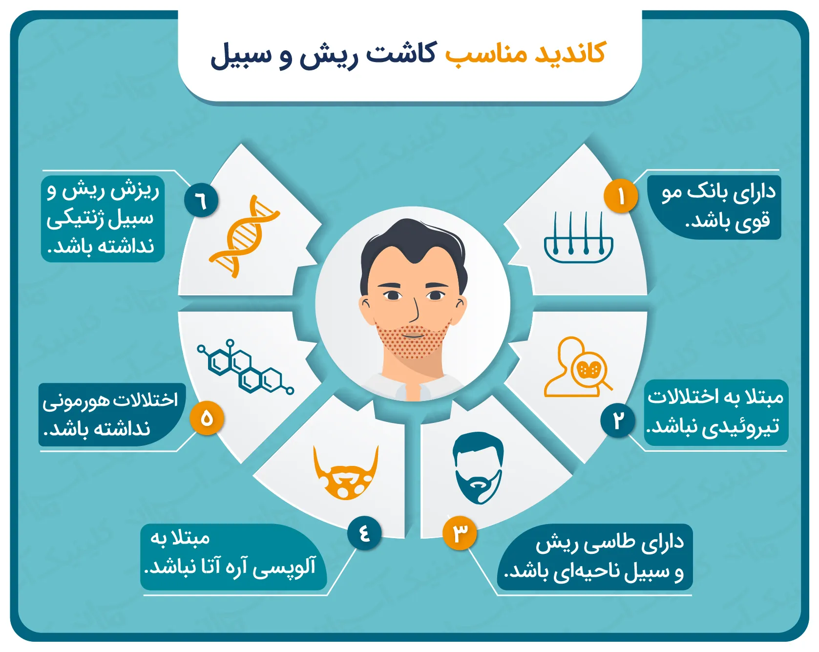 اینفوگرافی کاندید مناسب کاشت ریش و سبیل